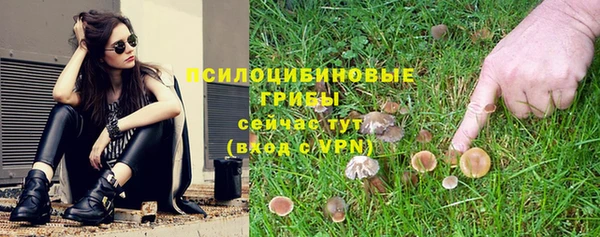 а пвп мука Каменка