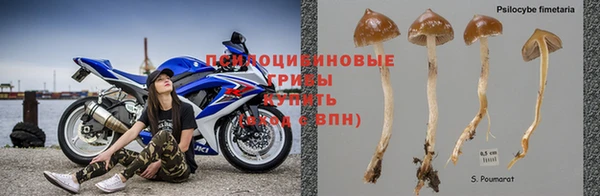 кокаин колумбия Каменногорск