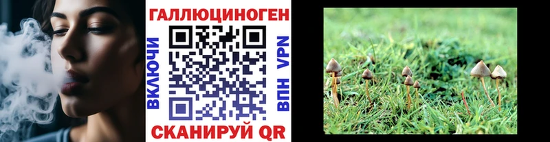 Купить закладки  Ворсма  Галлюциногенные грибы Psilocybe 